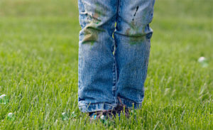 Как отстирать траву с джинс безболезненно для ткани?